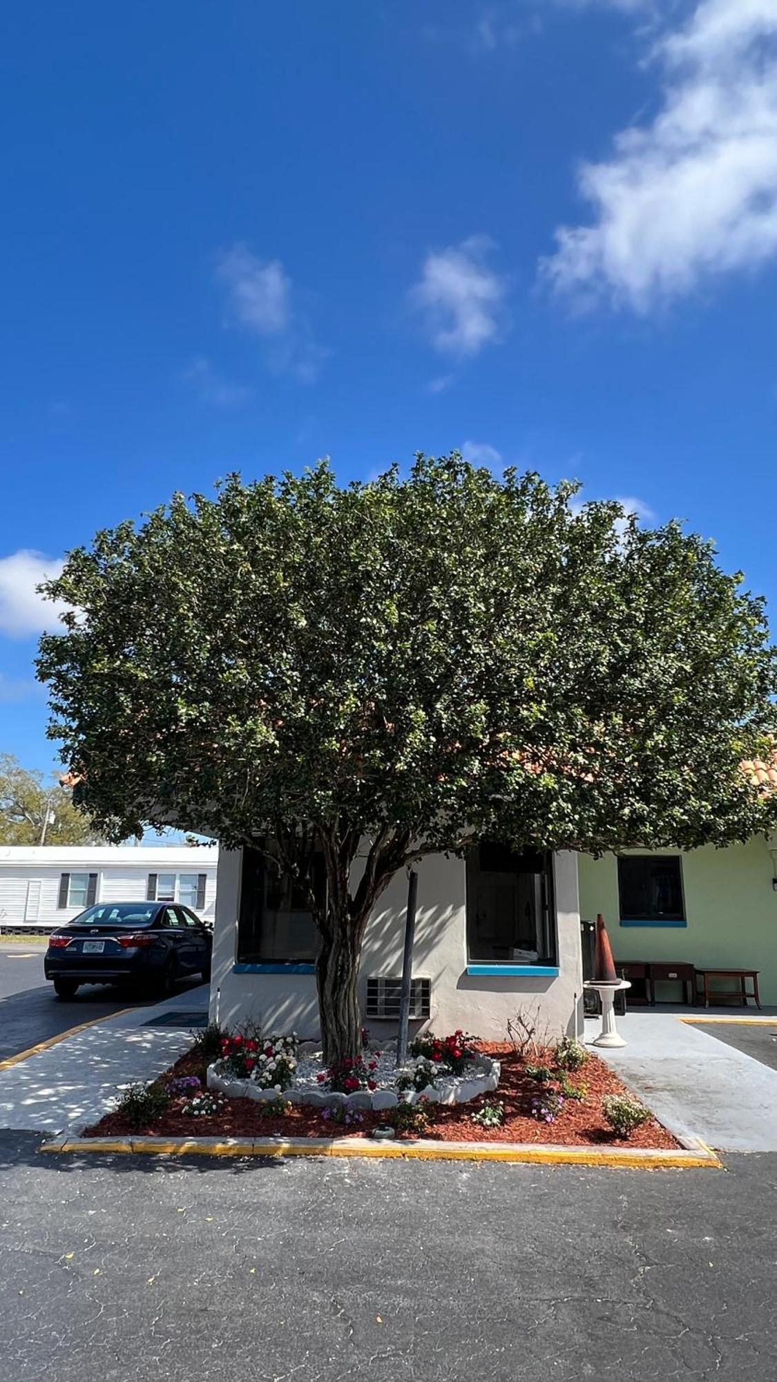 Gulf Way Inn Clearwater Exterior foto